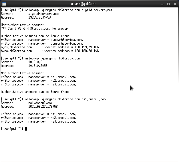 xterm with nslookup queries